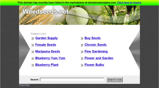 weedseeds.net