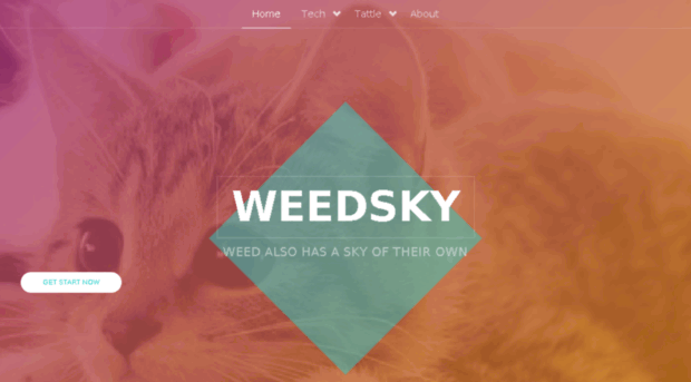 weedsky.com