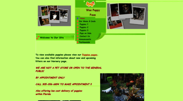 weepuppypaws.com