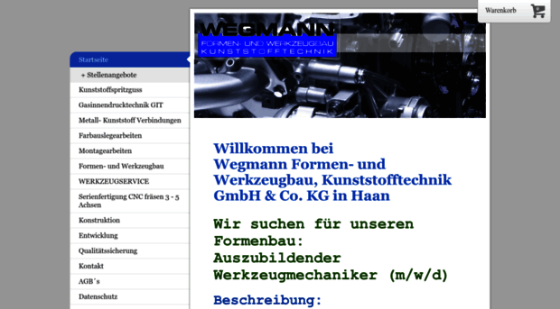 wegmann-wzb.de