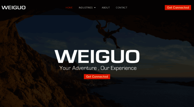 weiguosolutions.com