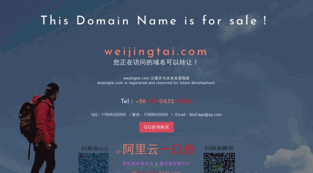 weijingtai.com