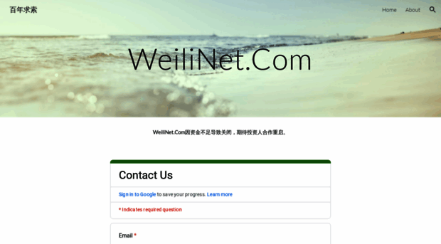 weilinet.com