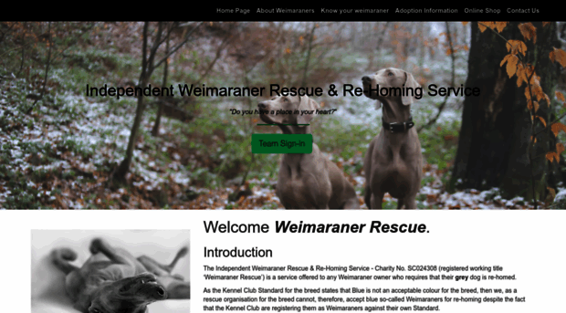 weimaraner-rescue.org.uk