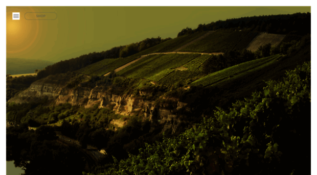 weingut-am-stein.de