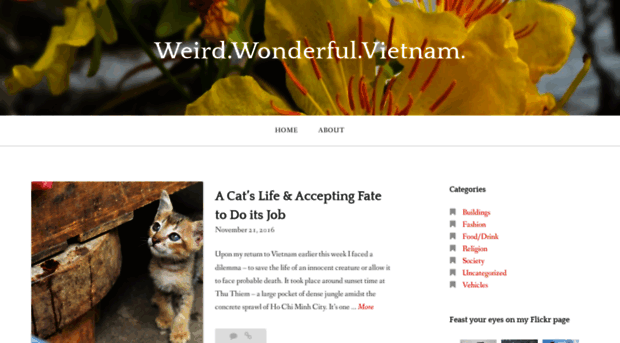 weirdwonderfulvietnam.wordpress.com