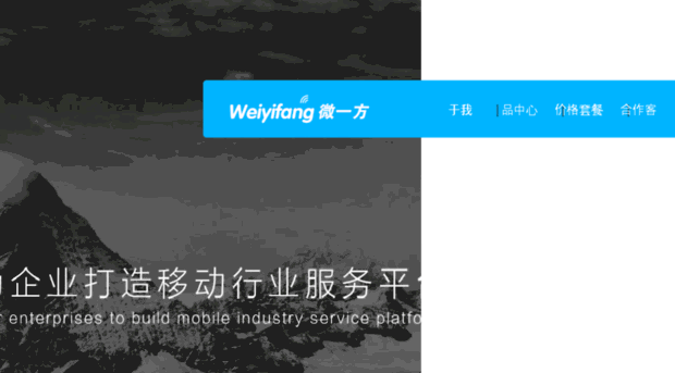 weiyifang.net