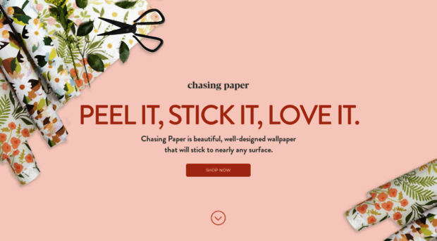 welcome.chasingpaper.com