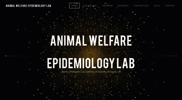 welfare-epicentre.weebly.com