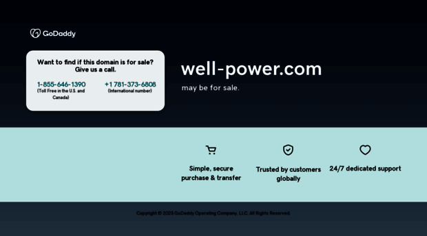 well-power.com