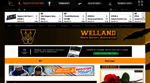 wellandminorhockey.com