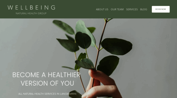 wellbeinggroup.com.au