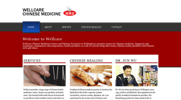 wellcarechinesemedicine.co.nz