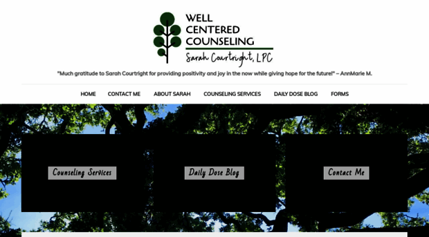 wellcenteredcounseling.com