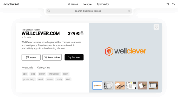 wellclever.com