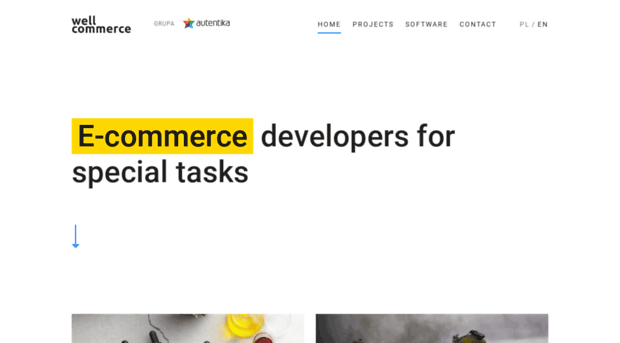 wellcommerce.org