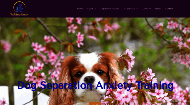 welldonecharlie.com