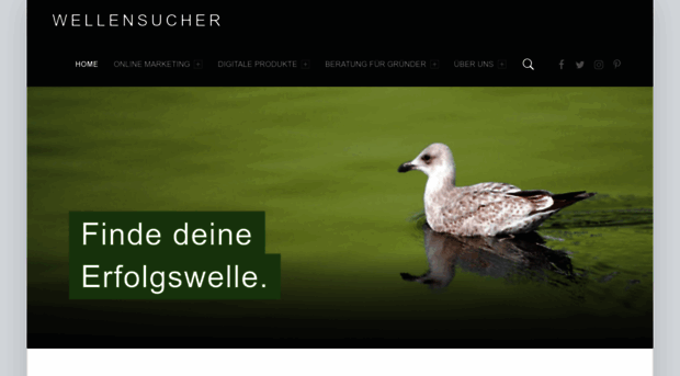 wellensucher.de