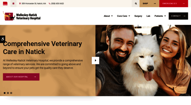 wellesleynatickveterinaryhospital.com