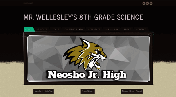 wellesleyscience.weebly.com