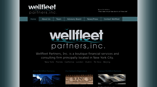 wellfleetpartners.com