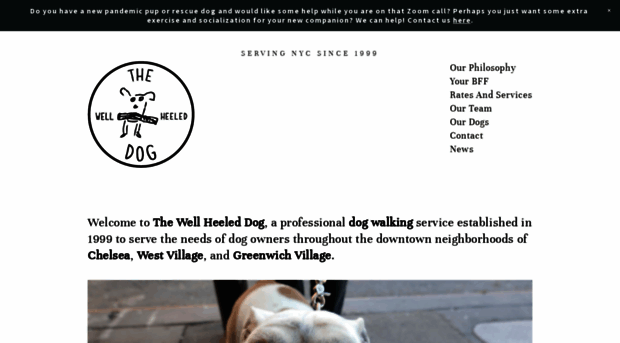 wellheeleddognyc.com