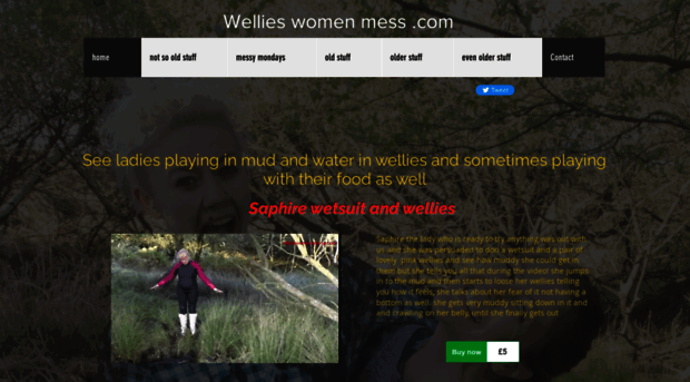 wellieswomenmess.com