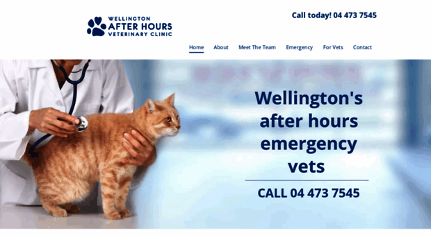 wellingtonafterhoursvetclinic.co.nz