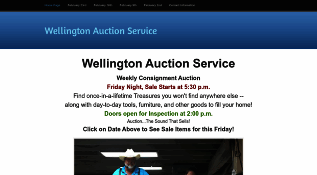 wellingtonauctionservice.com