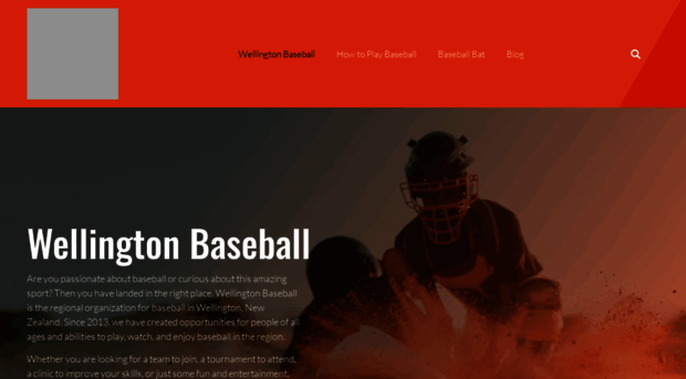 wellingtonbaseball.co.nz