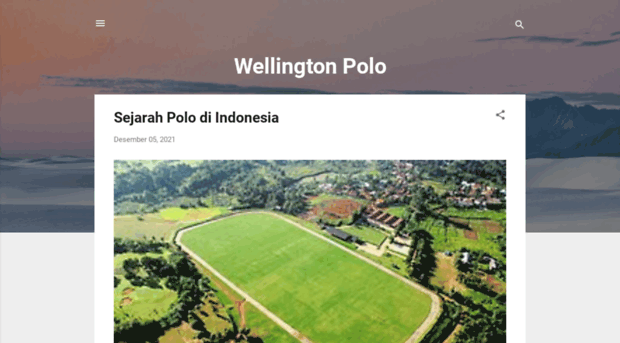 wellingtonpolo.net