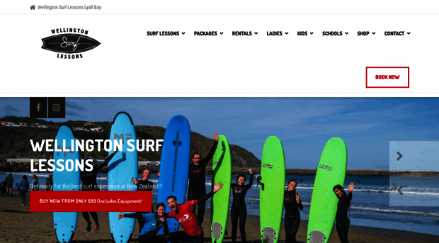 wellingtonsurflessons.co.nz