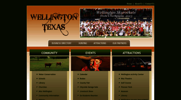 wellingtontx.com