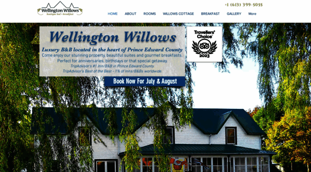 wellingtonwillows.com