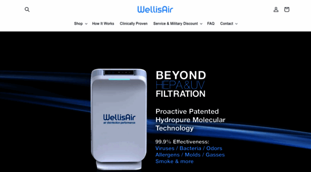 wellisairdisinfection.com