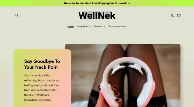 wellnek.com