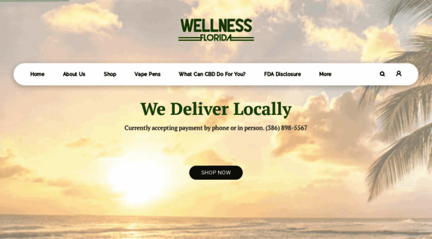 wellness-florida.com