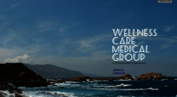 wellnesscaremedicalgroup.com