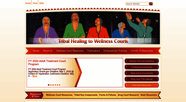 wellnesscourts.org