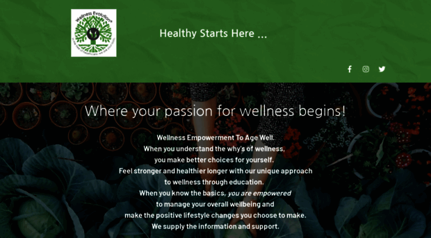 wellnessevolution.com