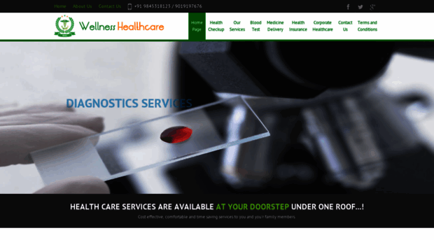 wellnesshealthcare.in