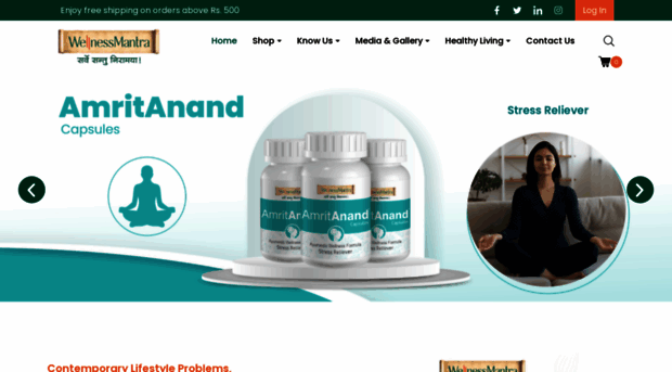 wellnessmantra.co.in