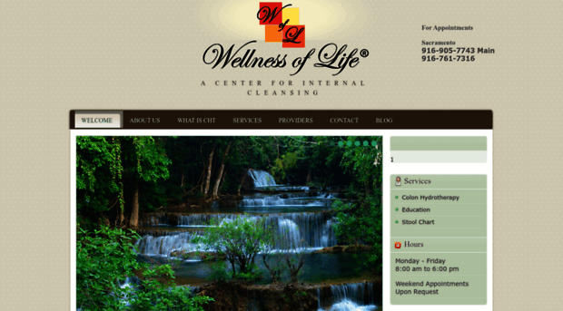 wellnessoflifedavis.com