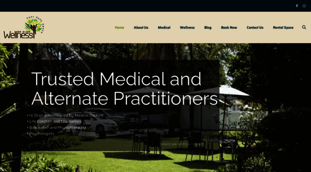 wellnessonalon.com