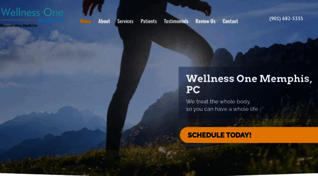 wellnessonememphis.com