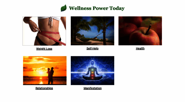 wellnesspowertoday.com