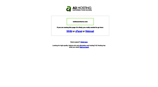wellnessreturns.com