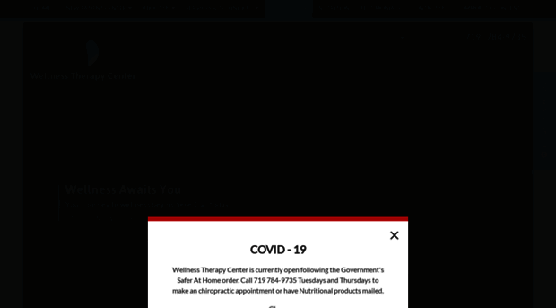 wellnesstherapycenter.com