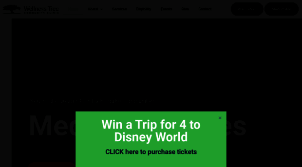 wellnesstreeclinic.org