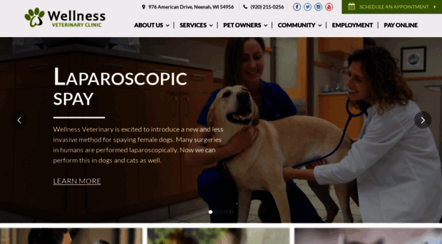 wellnessvetclinic.com